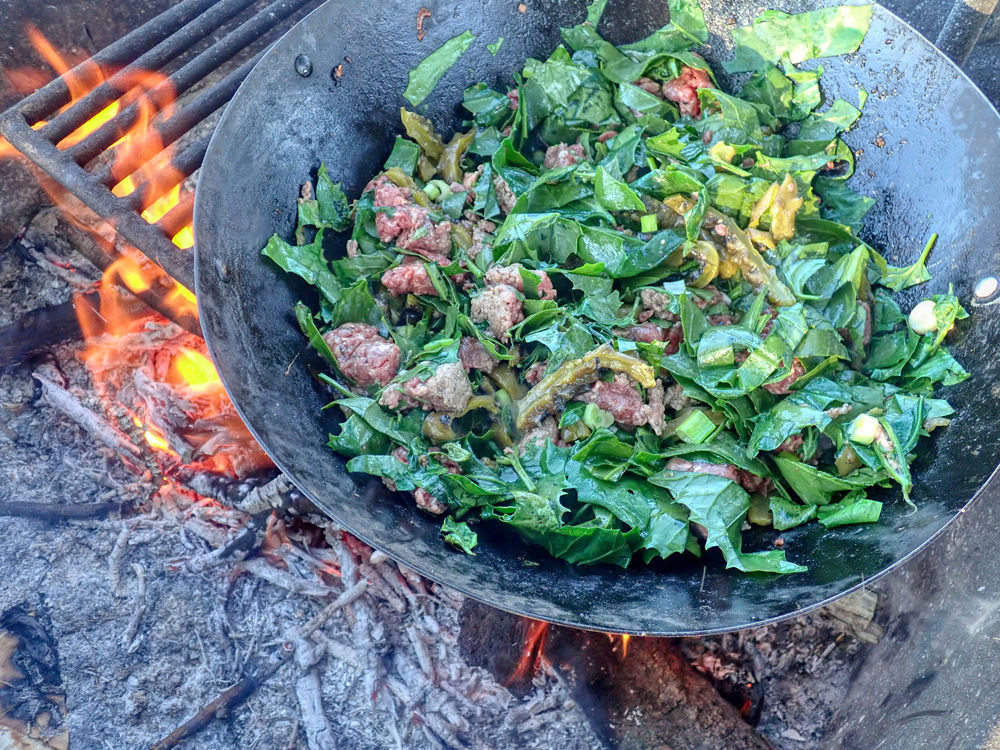 Cooking hamburger, orache, and prickly pear “nogales” in the wok. Elpel